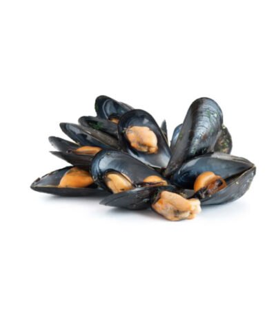 Frozen Mussels Whole In Shell 1kg