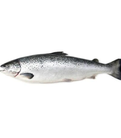 Salmon Norway Whole Fish (3-3.5kg)