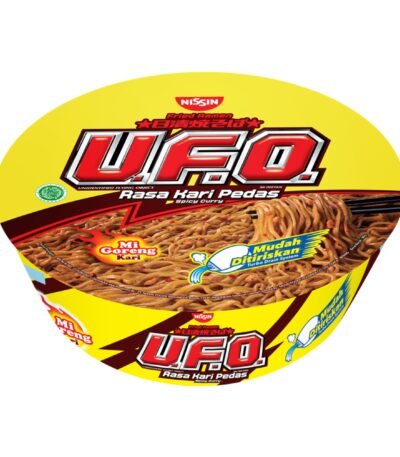 UFO Ramen Spicy curry