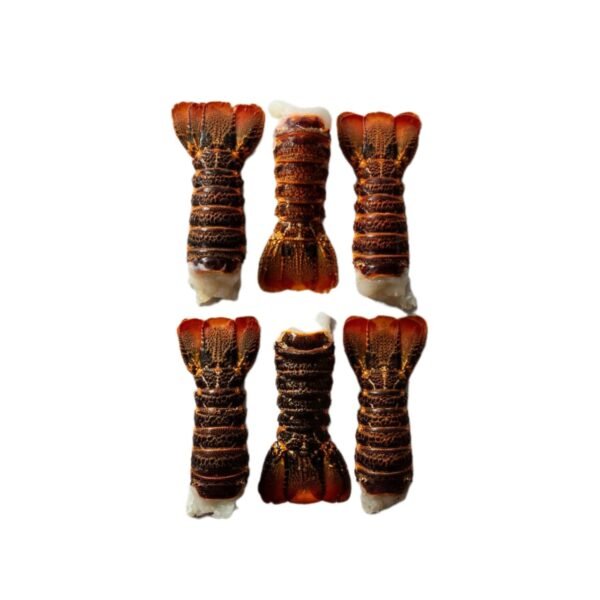 Lobster Wild Tail Premium 1PC (Tristani 130g-150g)